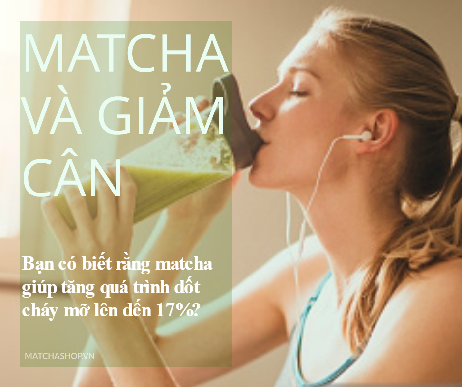 Matcha giúp đẩy nhanh quá trình đốt cháy calo