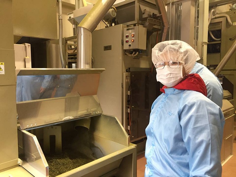 Sản xuất bột trà xanh matcha