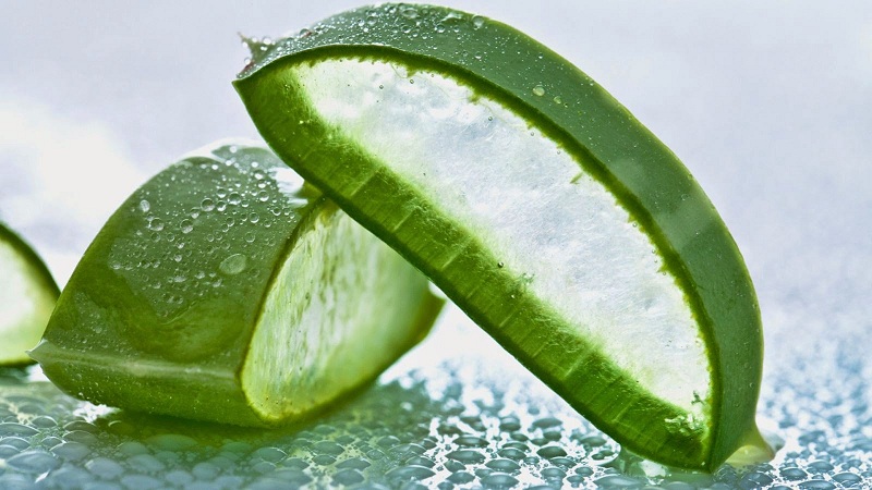 Mặt nạ trà xanh matcha nha đam trị rám nắng hiệu quả